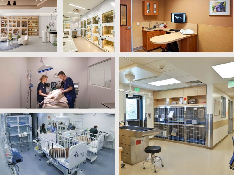 Radon Group - Đơn vị thiết kế phòng khám thú y uy tín